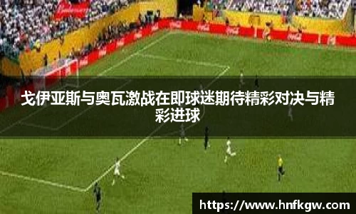 3377体育